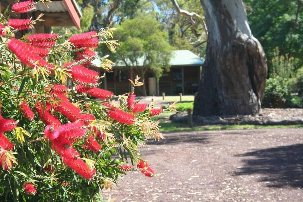 Southern Grampians Cottages Dunkeld Exteriér fotografie