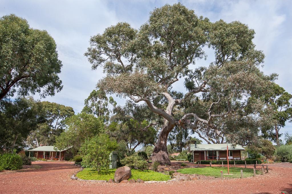 Southern Grampians Cottages Dunkeld Exteriér fotografie