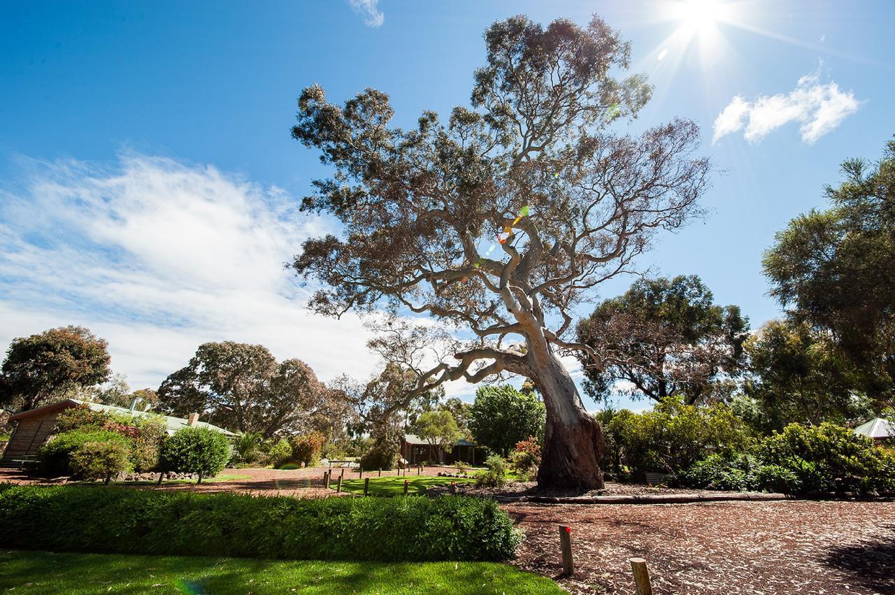 Southern Grampians Cottages Dunkeld Exteriér fotografie